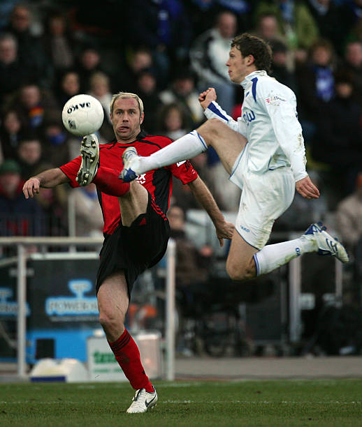 中展示了颇 中展示了颇